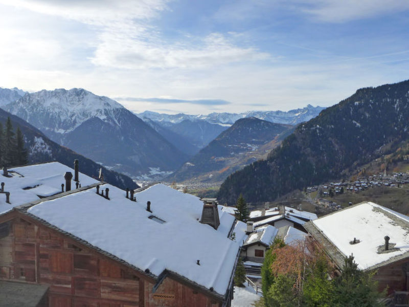 Les Bruyeres