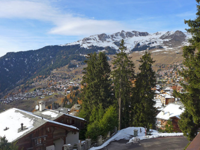 Les Bruyeres