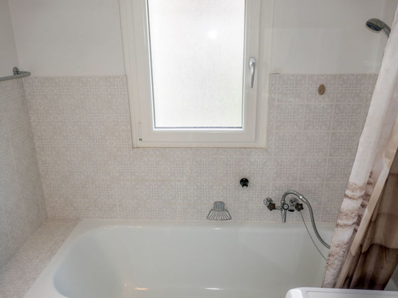 Bouleaux B2