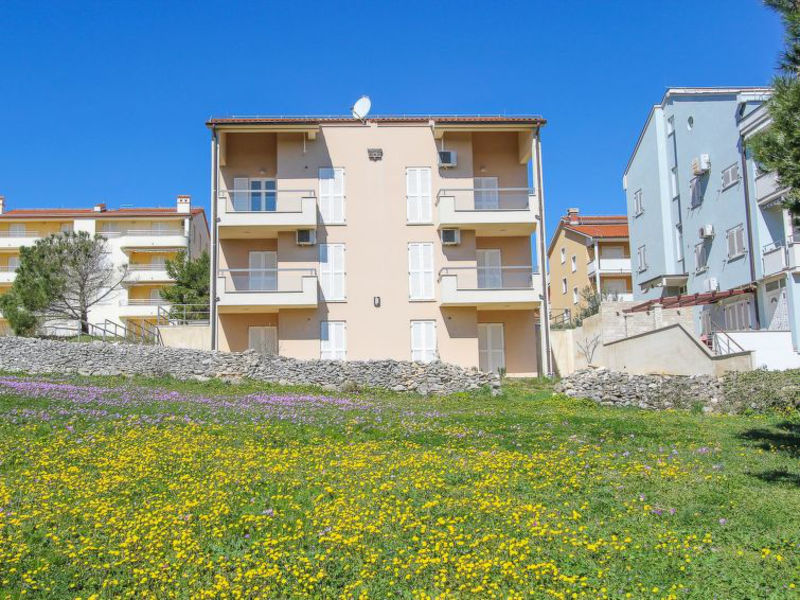 Vedrana