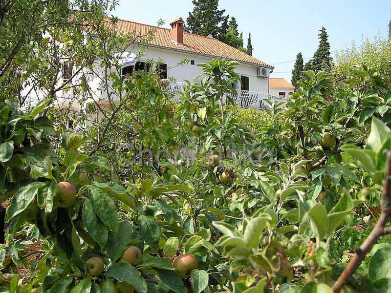 Apartmány Beach