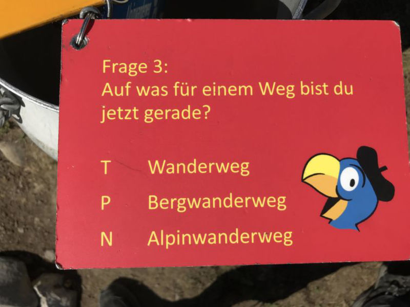 Krebs