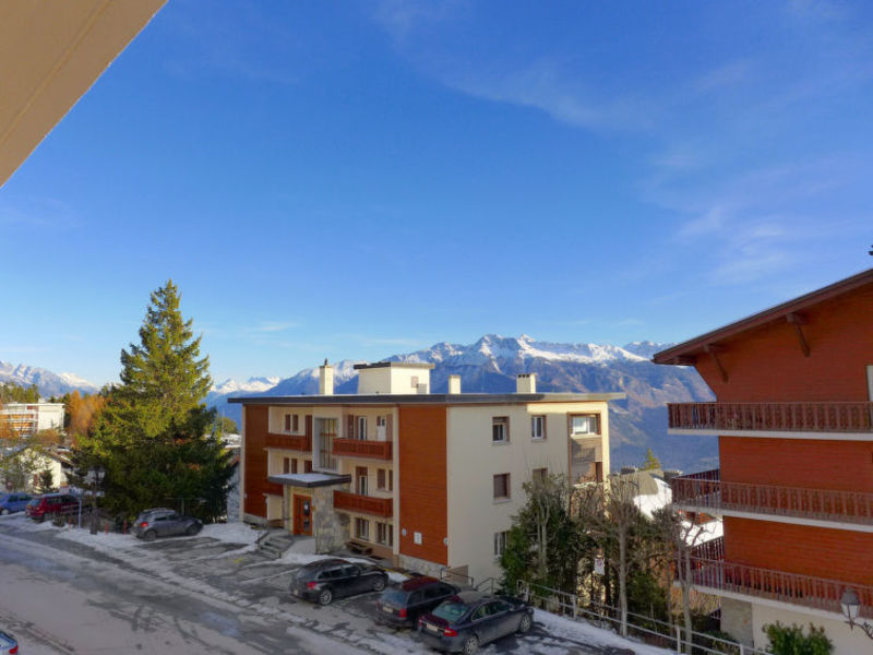 Fleur Des Alpes