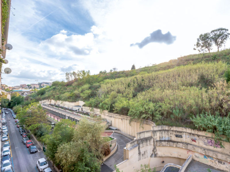 Vaticanum Hills