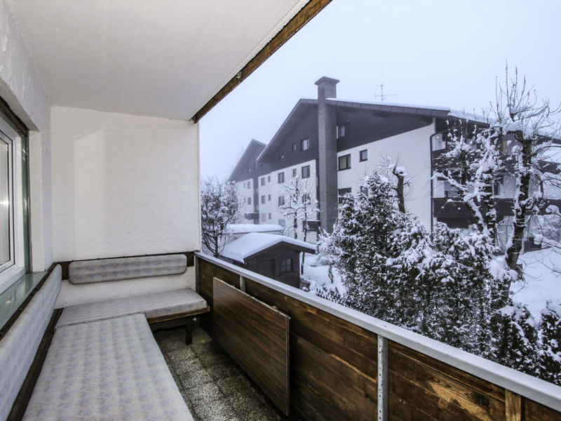 Am Birkenhain