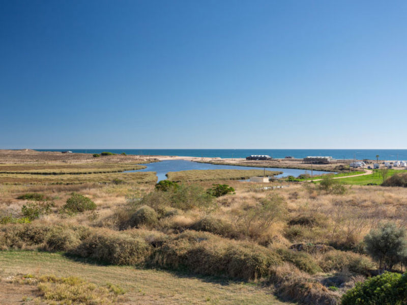 T1 Vista Mar 500 M From The Beach