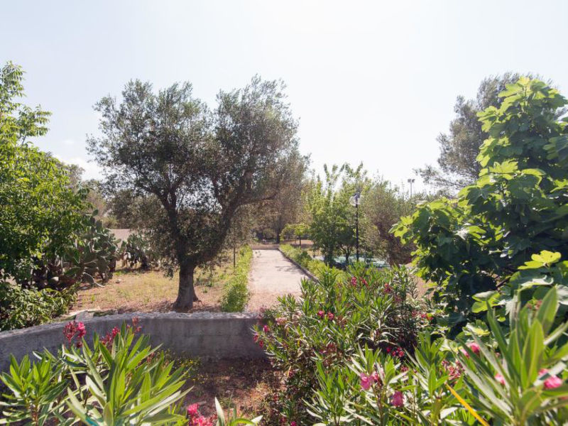 Otranto Wind Trilo