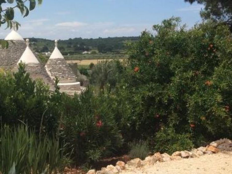 Trullo Butterfly