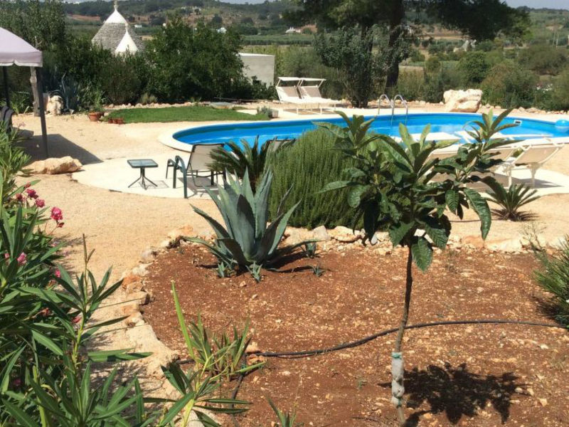 Trullo Butterfly