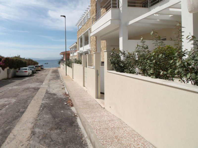 Cormorano 6