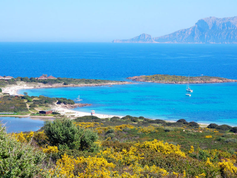 Vista Figari