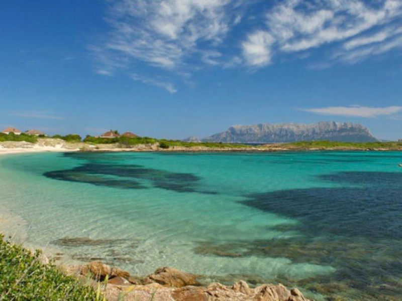 Vista Figari