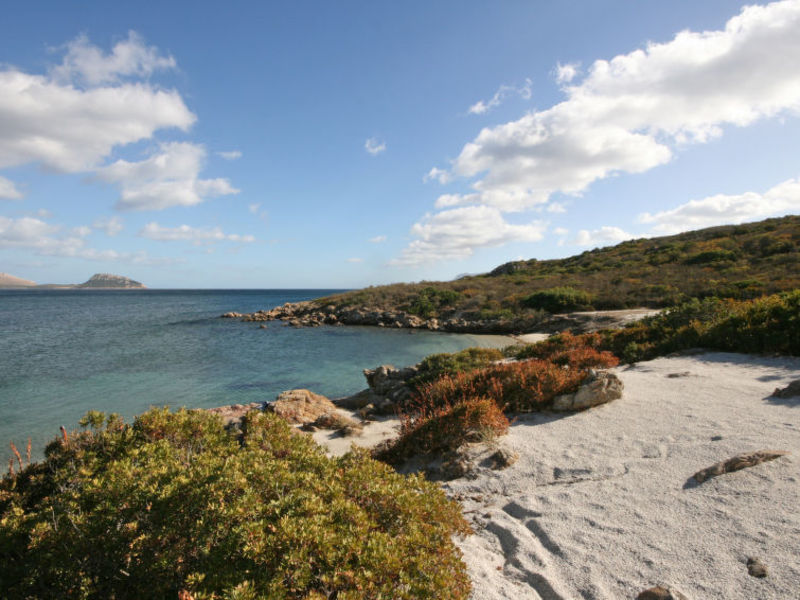 Granito
