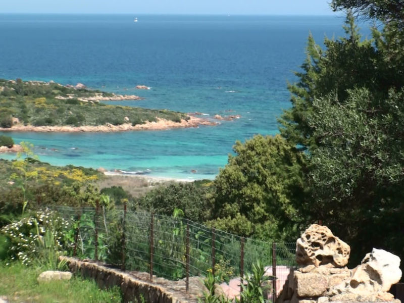 Basilico