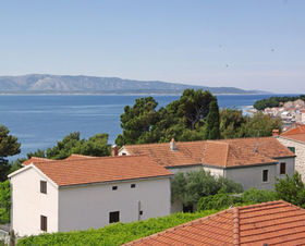 Apartmán Zostera