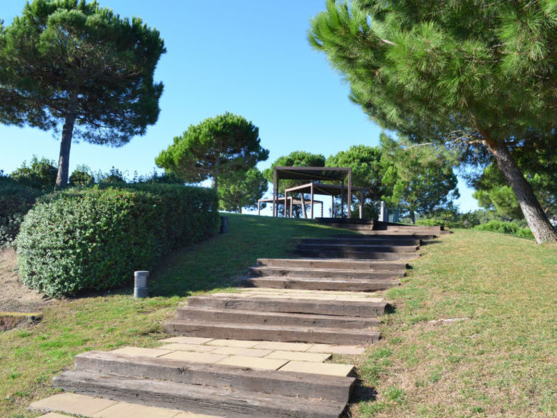Oliveres