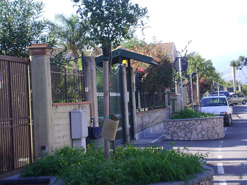 Parnaso