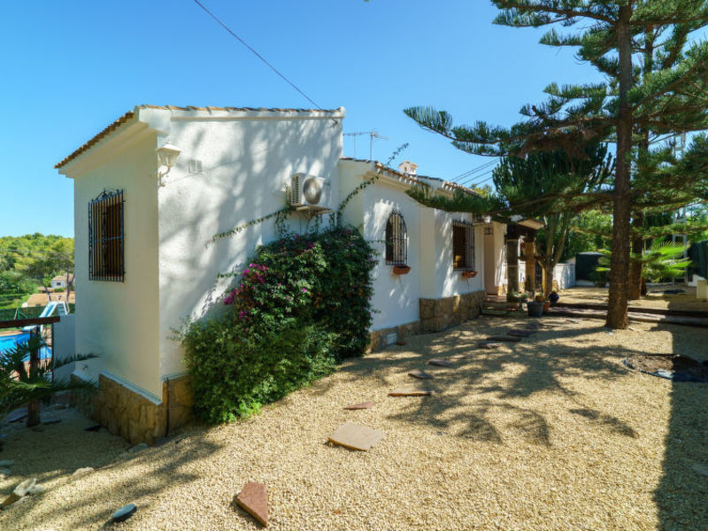 Maduixera