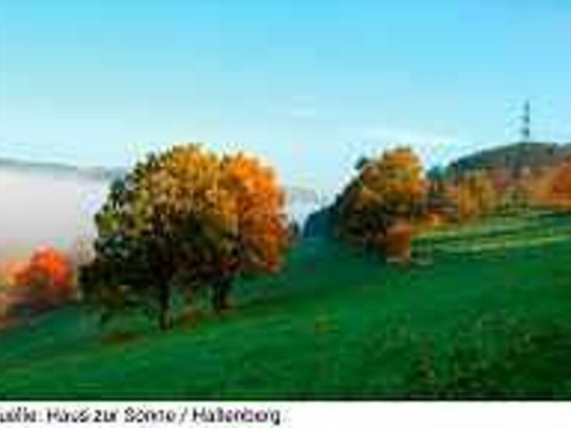 Landgasthof Haus zur Sonne