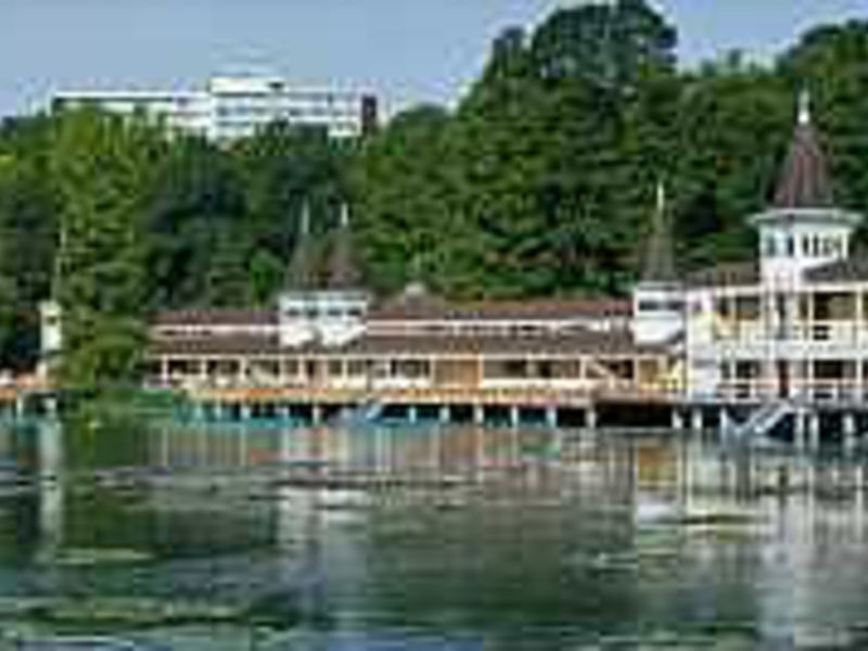 Hotel Danubius Health Spa Resort Heviz