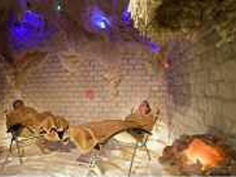 Hotel Danubius Health Spa Resort Heviz