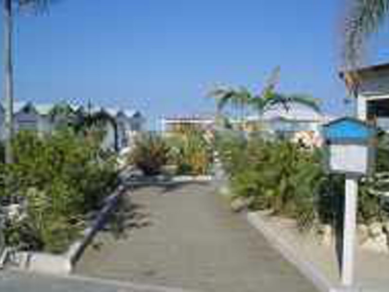 Hotel David Palace