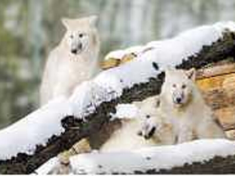 Natur-Resort Tripsdrill