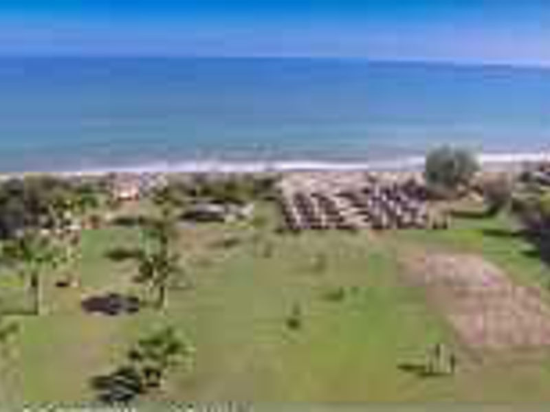 Acacia Resort