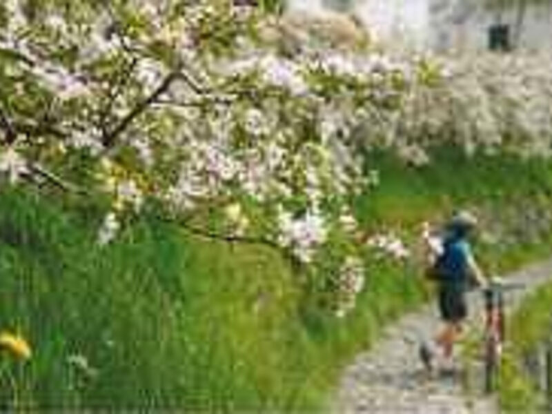 Anreise in der Pension Schweitzer Etsch Radweg Genießertour