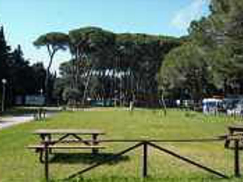 Camping Bocca di Cecina
