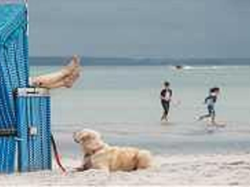 ostsee resort damp