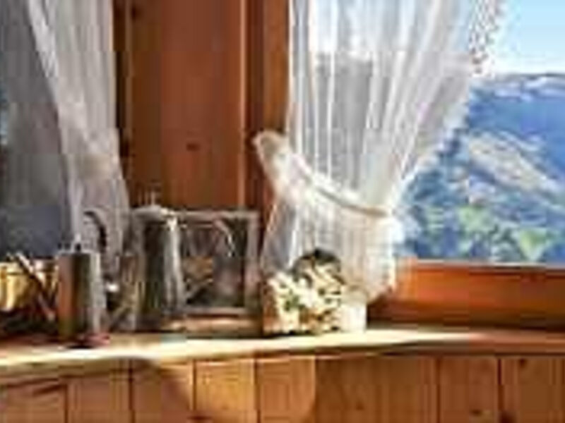 The Alpina Lodge