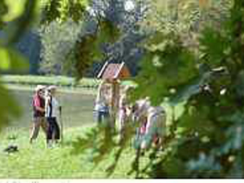 Vital & Wellnesshotel Schürger
