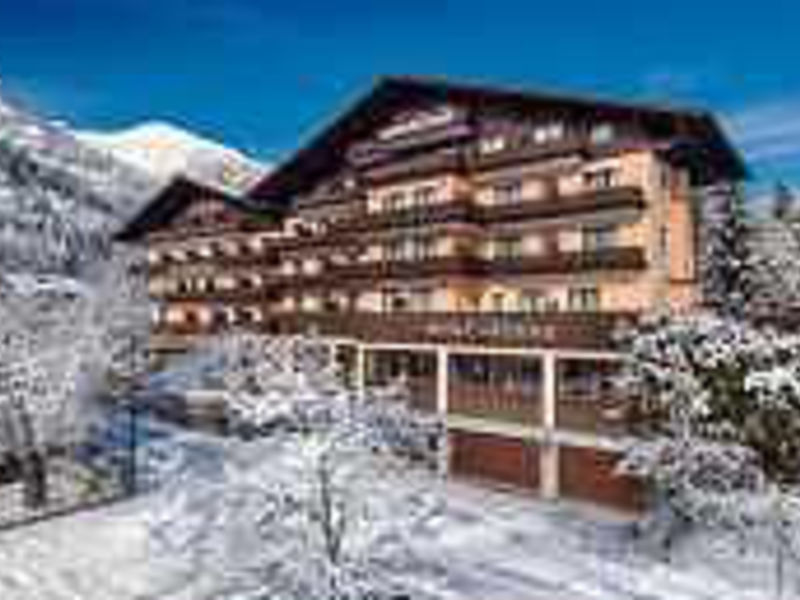Hotel Alpina