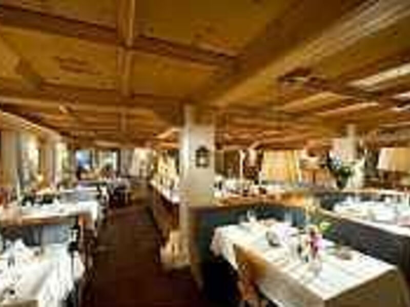 Hotel Alpina