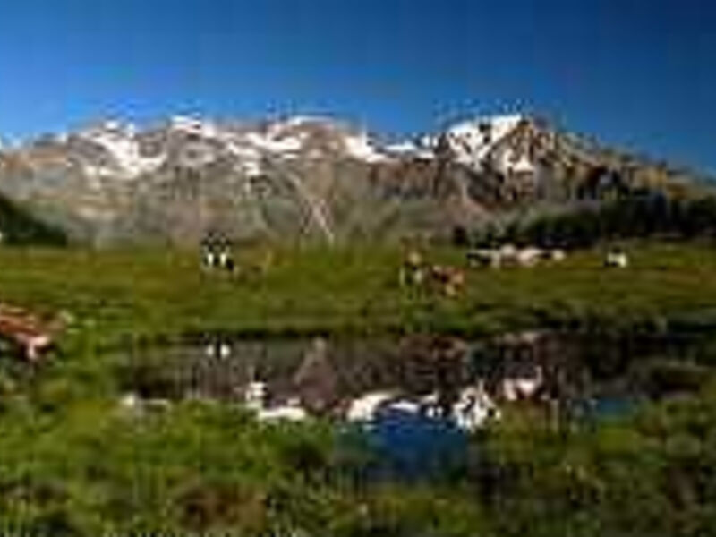 Hotel Domina Parco dello Stelvio