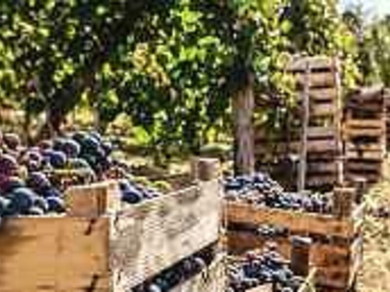 Italien Wein und Essen Tour