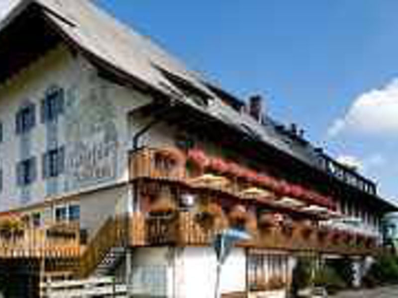 Hotel Schwarzwaldgasthof Zur Traube
