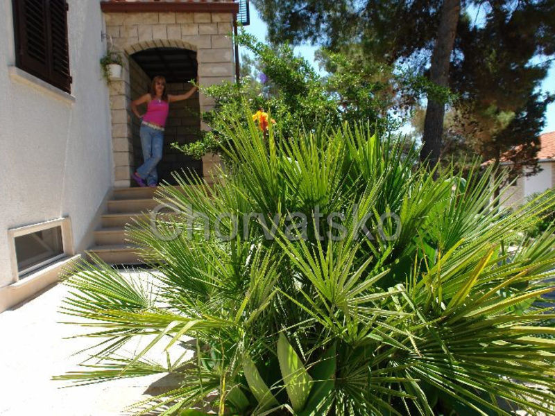 Vila Veronica