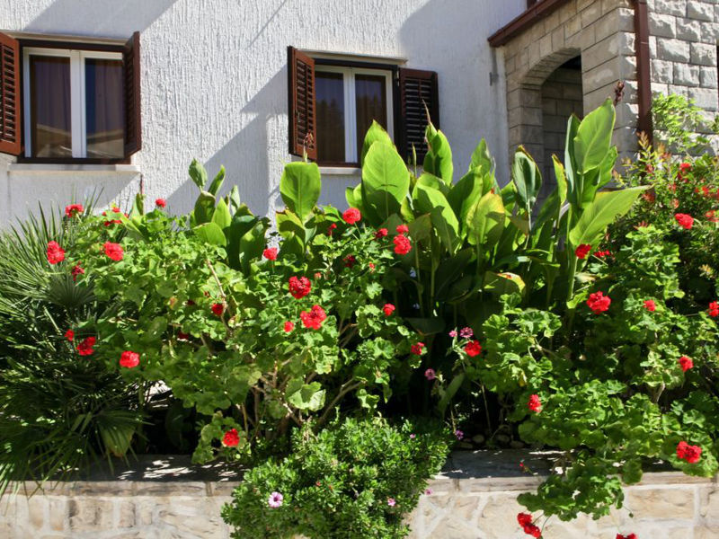 Vila Veronica