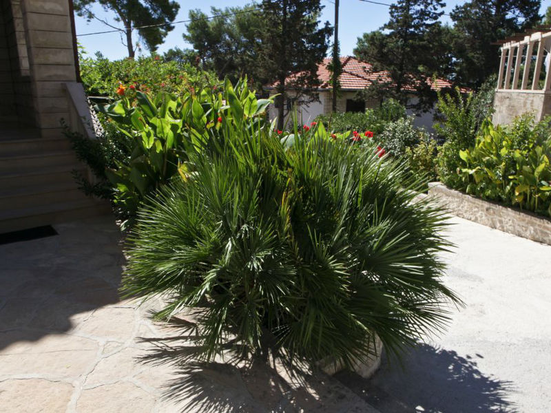 Vila Veronica