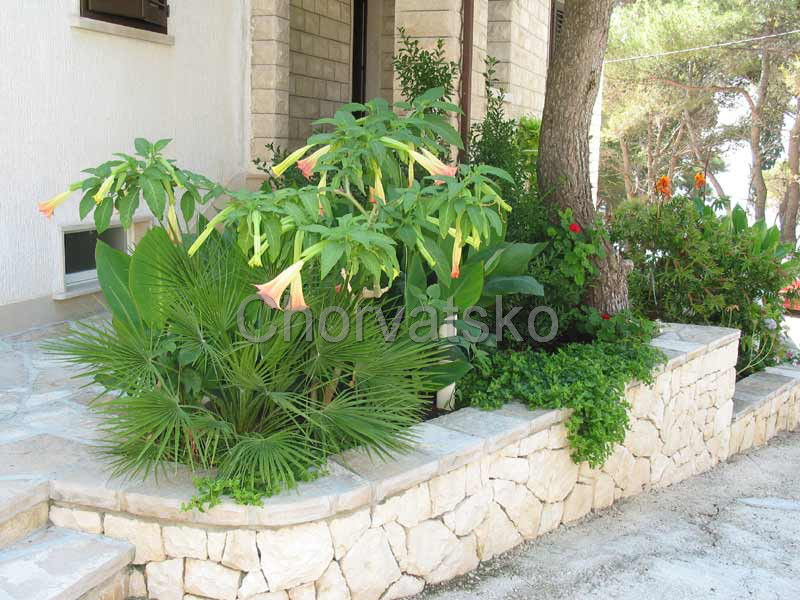Vila Veronica