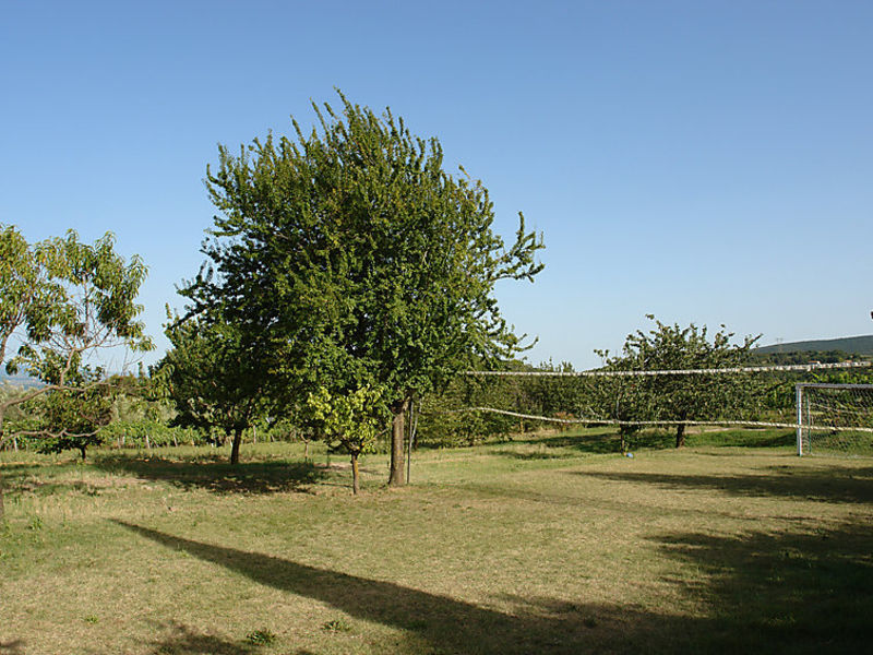 Fienile