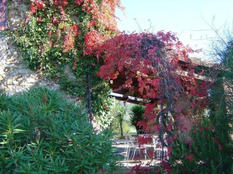 Podere L'Orsinghi App. D
