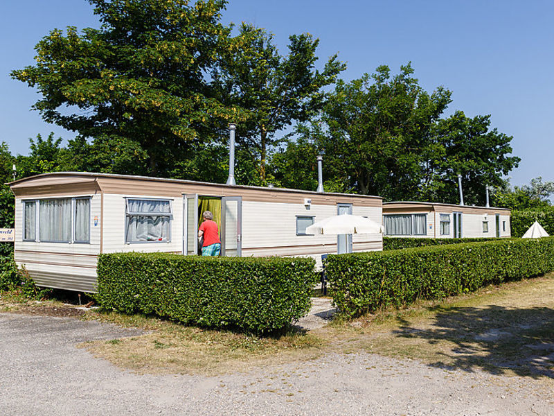 Zeearend
