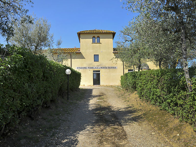 Cornuzzo