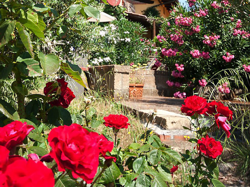 Centro Vacanze
