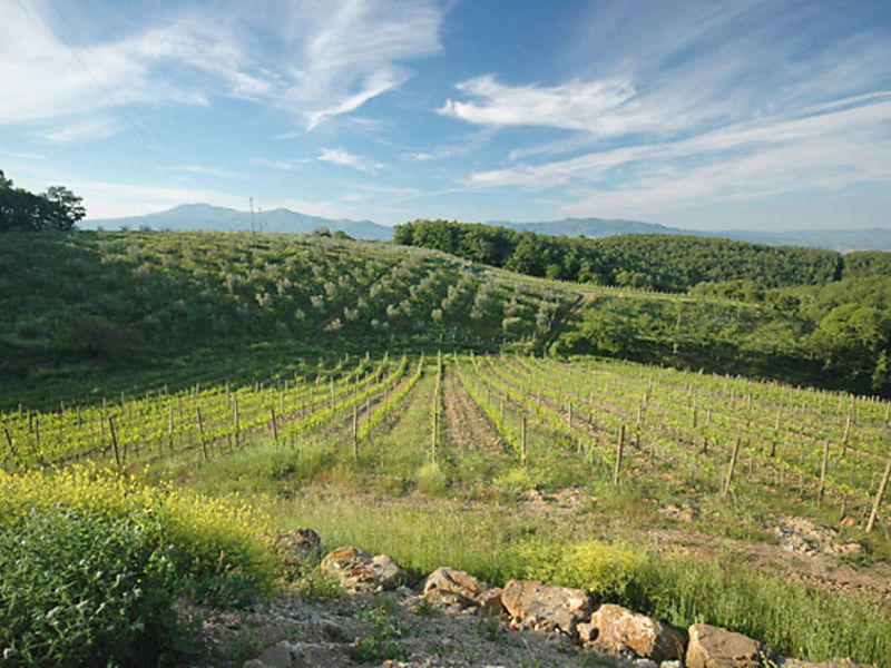 Montalcino Sunset