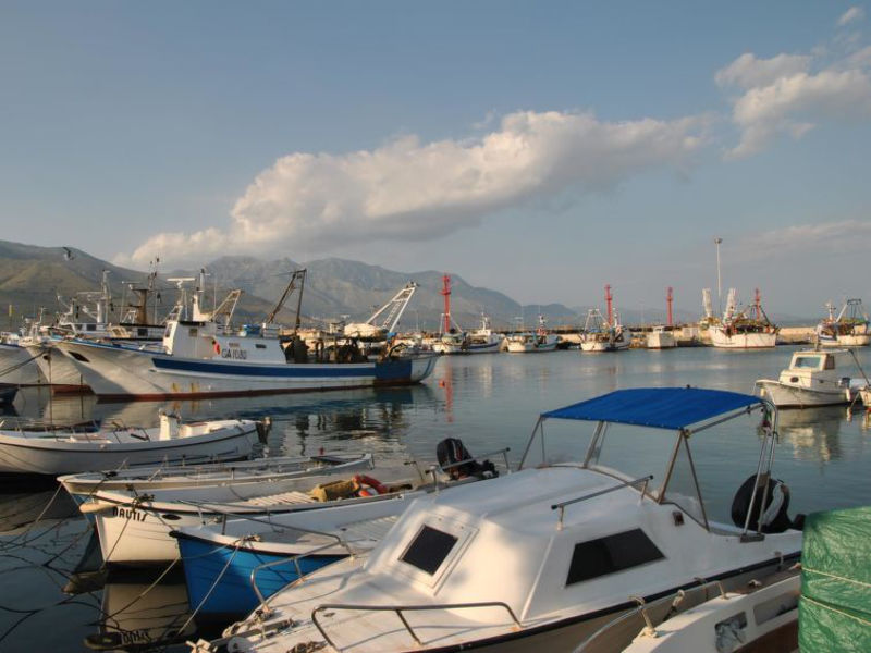 Atratina