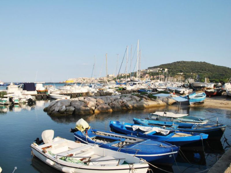 Atratina